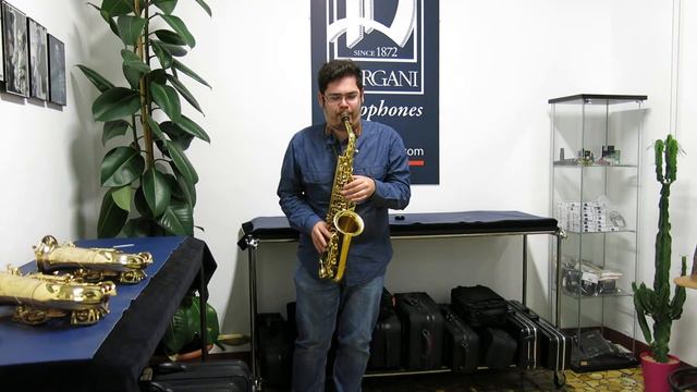 Nicola Caminiti plays Alto Sax Royal Winds RAS55 смотреть онлайн