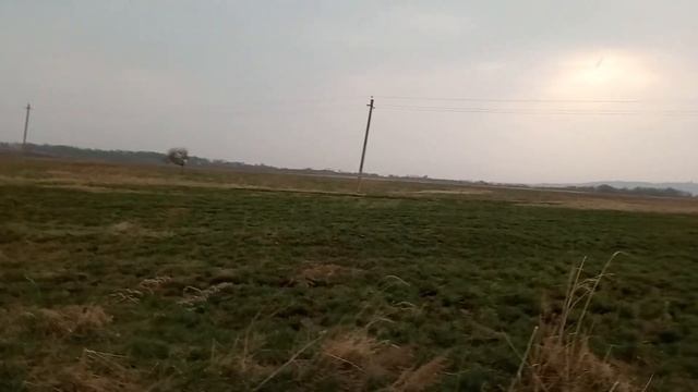 Продала утят породы Агидель.Готовимся к пастбищному периоду. смотреть онлайн
