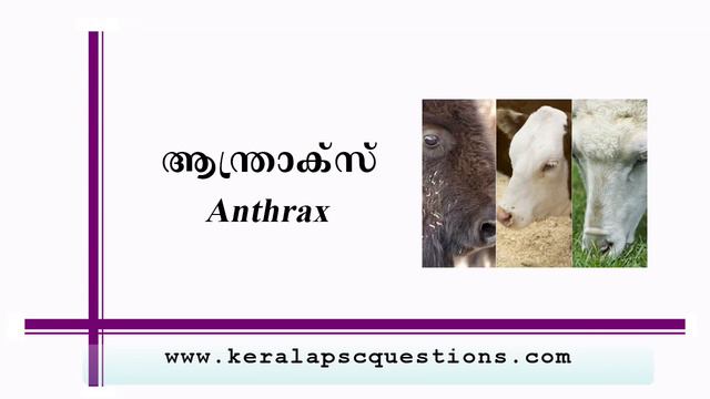 Bacterial diseases malayalam | kerala psc questions смотреть онлайн