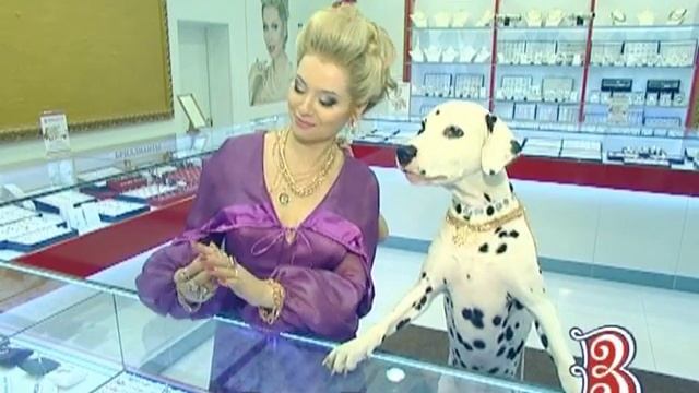 Лена Ленина (Elena Lenina) в рекламе Ваше Золото (с собакой) смотреть онлайн