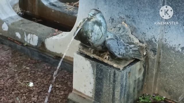 Ольга Брендовна.Зачем она заказала себе крысу с бидоном? Елена Ланге.Молчит про визу Нелли? смотреть онлайн