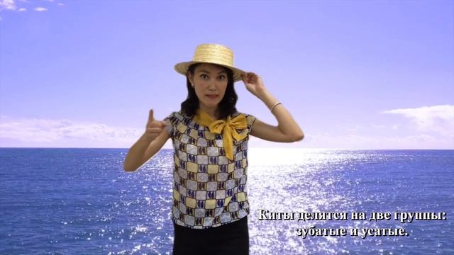 Детям о животных: киты и дельфины. смотреть онлайн