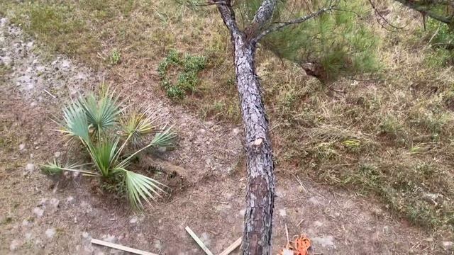 Building A Treehouse For Less Than 36$