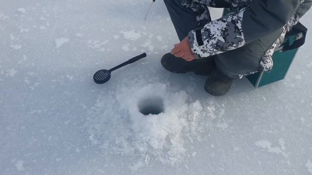 Рыбалка в мороз_ Сын с женой  на рыбалке_ Ловись рыбка