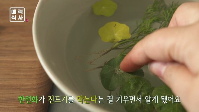 아스파라거스 스프 만들기 플레이팅 Asparagus soup смотреть онлайн