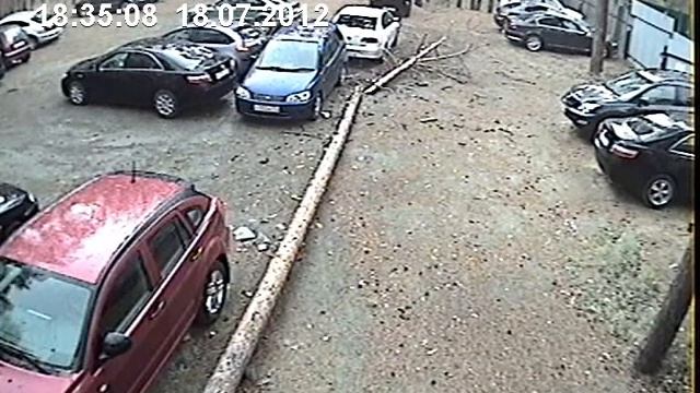 Лесное поместье.avi смотреть онлайн