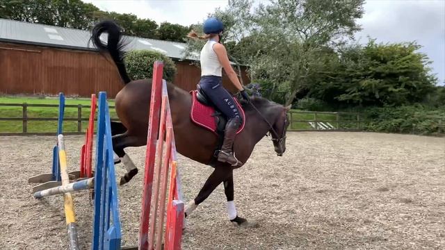 RIDING MY FRIEND'S HORSES AND VLOGGING ADVENTURES ~ Cornwall summer throwback смотреть онлайн