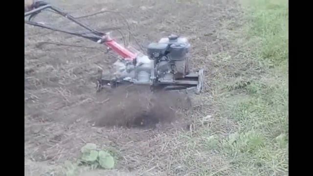 Особливості прополки міжрядь гарбуз мотоблоком Weima 1100C-6 / Обработка междурядий мотоблоком смотреть онлайн