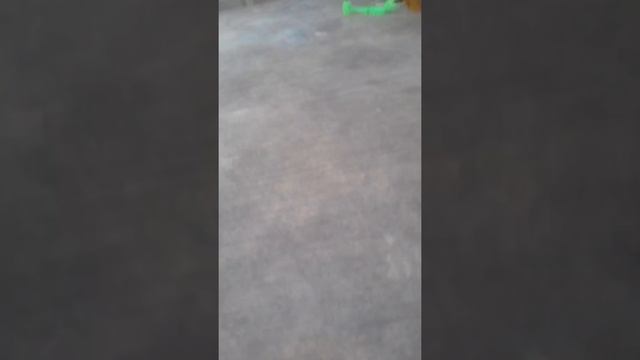 Обзор на мою красноухую черепаху!🐢 смотреть онлайн