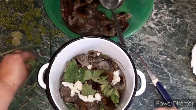 Вкусные рецепты с грибами