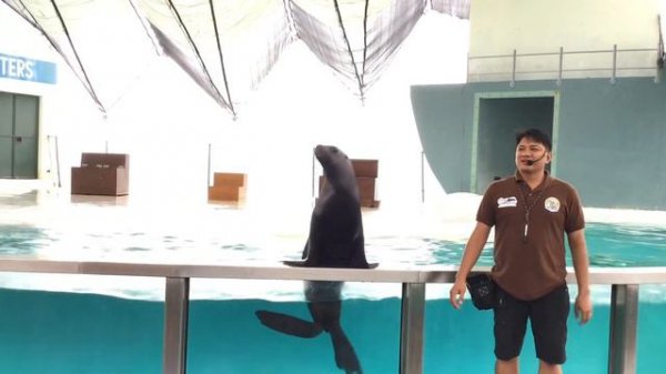 SUBIC TRIP W/ FAMILY | OCEAN ADVENTURE | COURT MERIDIAN HOTEL