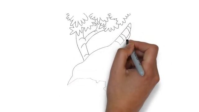 как нарисовать кукушку,how to draw a cuckoo,cómo dibujar un cuco смотреть онлайн