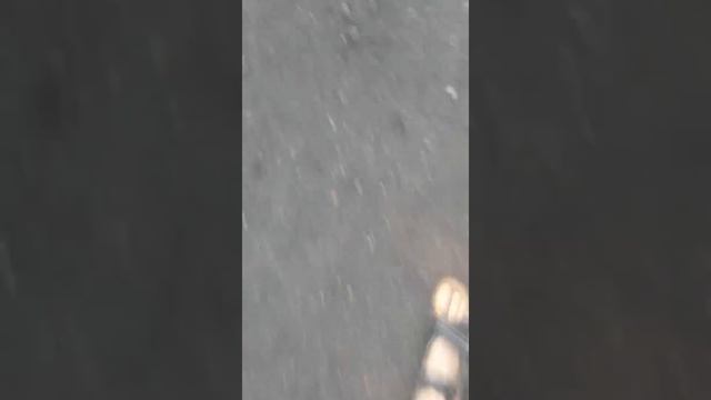 Миссия про туалет нава утенка смотреть онлайн
