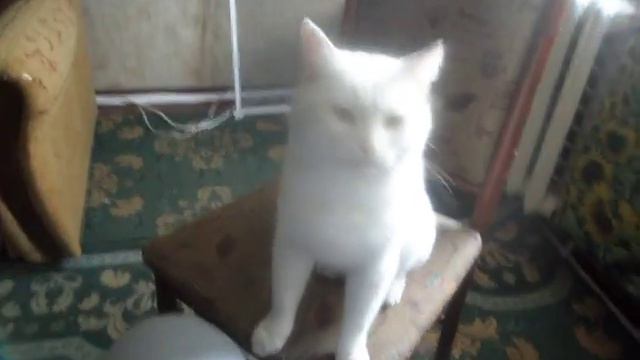 Мишаня не находит себе места смотреть онлайн