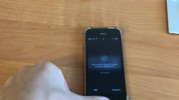 Управление видео-конференц-связью Cisco Room Kit через Яндекс колонку Алиса