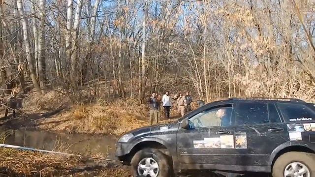 Дехандроз 2013 смотреть онлайн