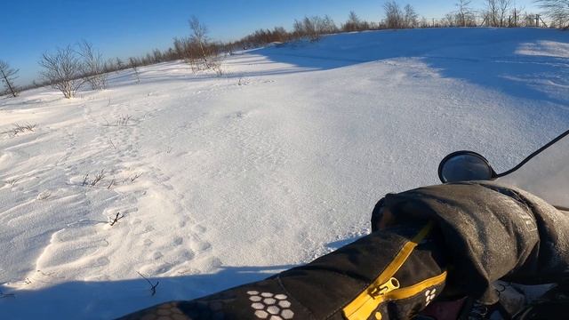 Ski-doo Expedition 1200 4-tec покатушки смотреть онлайн
