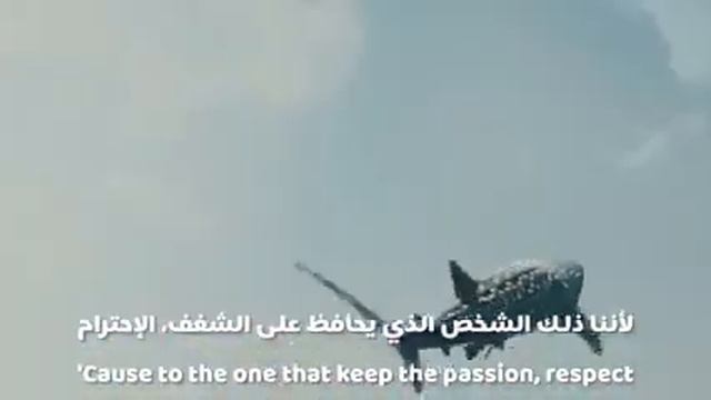 اغنية كاس العالم FIFA قطر 2022مع الترجمة смотреть онлайн