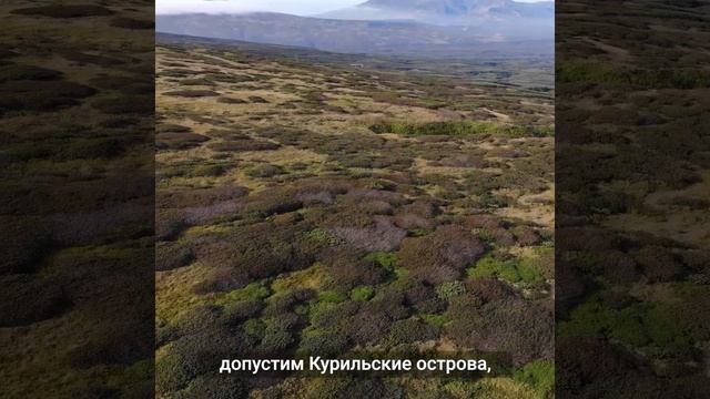 Запрет на отчуждение территорий РФ: почему его важно внести в Конституцию смотреть онлайн