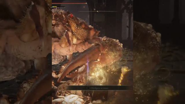 Elden Ring - Пепел войны крушитель золота #shortsvideo #shorts #eldenring смотреть онлайн