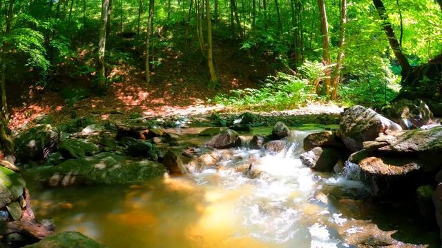 Beautiful Instrumental Music Of Nature For Meditation - With The Sound Of Water - 2 Hours