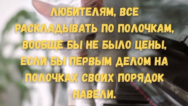 Любопытство—первый шаг до шантажа...Порядочность не любопытна. смотреть онлайн