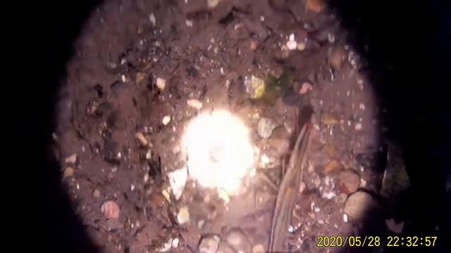 Ночная подводная охота. Приморский край смотреть онлайн