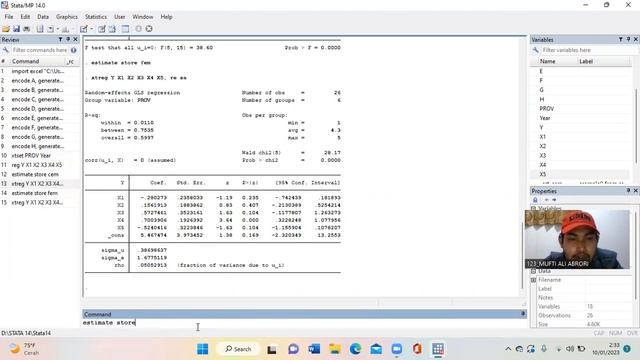 Tutorial Analisis Regresi Data Panel. Uji Chow, Uji Hausman dan Uji LM pada STATA. смотреть онлайн