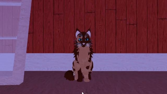 А где моя сосиска?! | Warrior Cats: Ultimate Edition смотреть онлайн