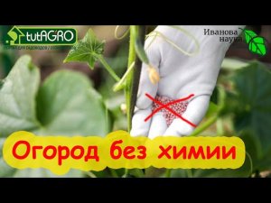 ОГОРОД БЕЗ УДОБРЕНИЙ! Такое возможно? Да! В созвездии BioDSO есть такая опция - Биогидрогель!