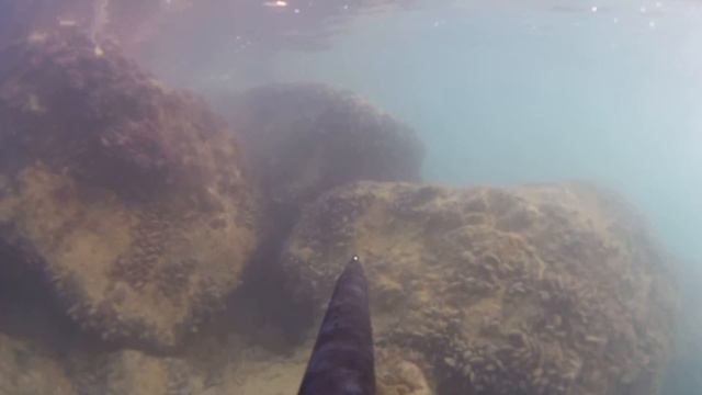 Orate in basso fondo 30.07.2016 смотреть онлайн