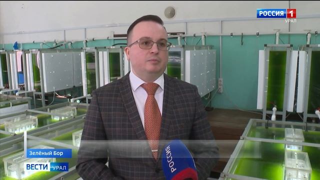 Нижне-Обский филиал Главрыбвода помогает улучшить экологию водоемов Свердловской области смотреть онлайн