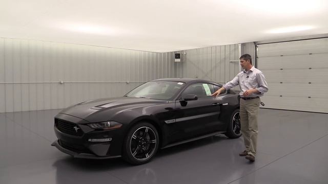 2019 FORD MUSTANG GT PREMIUM STANDARD AND OPTIONAL EQUIPMENT смотреть онлайн