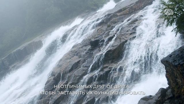 Эрих Фромм. Умные мысли про смысл жизни, личность, развитие, любови и свободе. Читает Гарри Стил смотреть онлайн