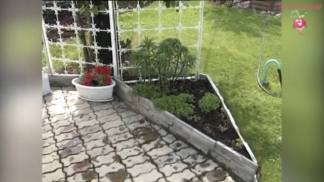 Дачный ландшафтный дизайн #urozhainye_gryadki смотреть онлайн