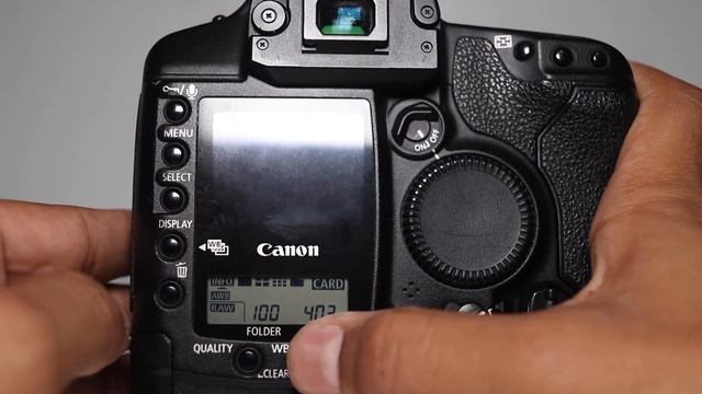 Canon EOS 1D Mark I (Original) in 2018? Overview and Sample Images. смотреть онлайн