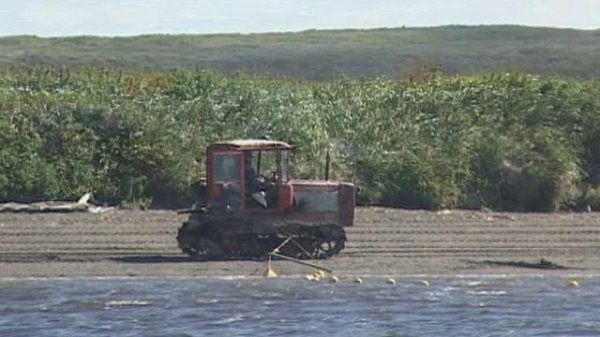 Сохраним лососей ВМЕСТЕ!