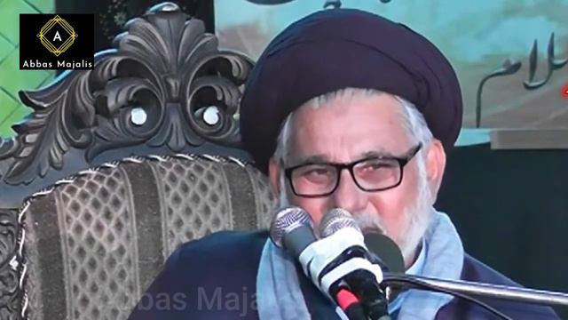 Azmat e Fatima Zahra s.a || Maulana Hassan Zafar Naqvi || Abbas Majalis смотреть онлайн