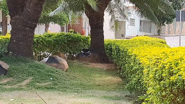 Pequena, Portátil e Barulhenta! ? Caixa de som PHILCO PBS16BT EXTREME 20W RMS (Teste ao Ar livre) смотреть онлайн