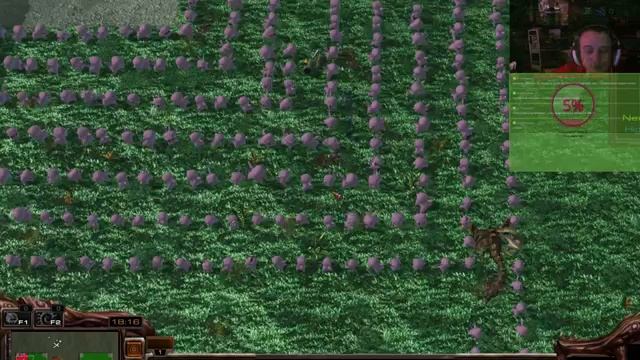 Starcraft 2 Инком варс смотреть онлайн