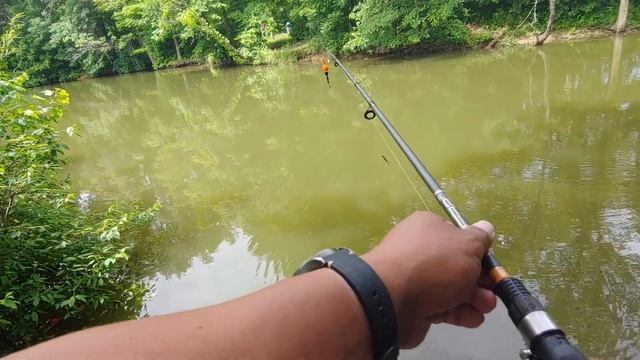 Crappie and Bluegill fishing with the Berkley Gulp Minnows and live bait on a slip float rig смотреть онлайн