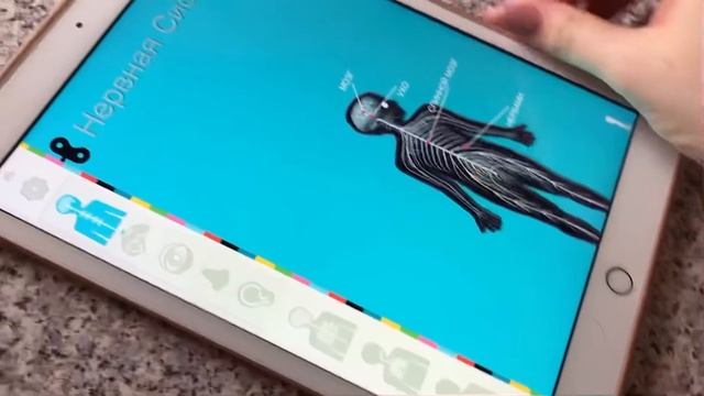 Детские приложения/Настроить YOUTUBE KIDS