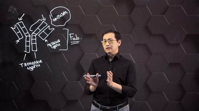 Производство моноклональных антител. 11 класс. смотреть онлайн