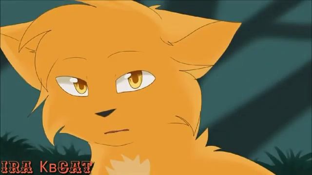 Коты Воители - cradles •клип• смотреть онлайн