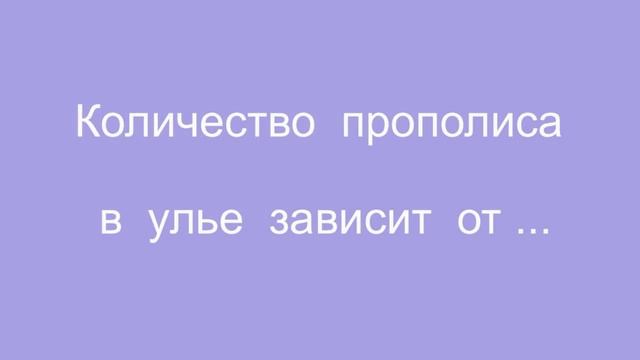 Этот загадочный прополис смотреть онлайн