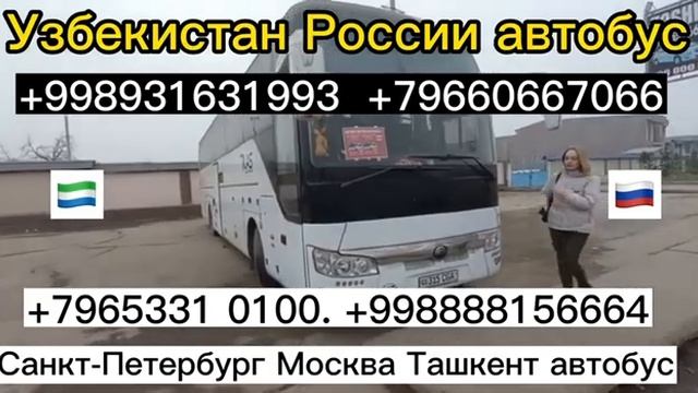 автобус ташкент-москва автобус санкт-петербург-ташкент #такси #россия #узбекистан смотреть онлайн
