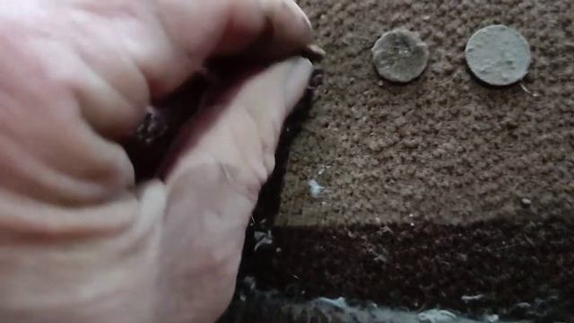Мороз -20 зимний коп на Алтае.Search for Vanquish540 coins.Cop in the cold -20 degrees. смотреть онлайн