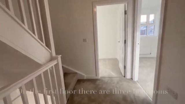 The Lavender 2 смотреть онлайн