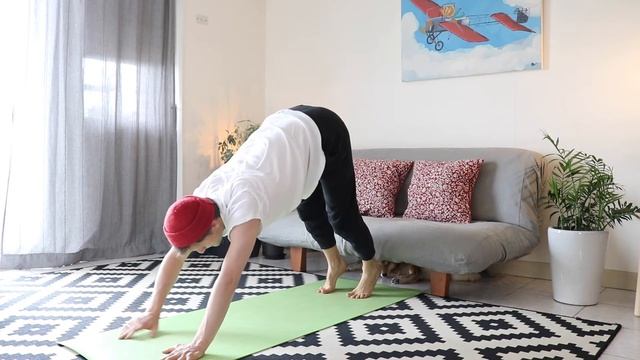 Хатха Flow Йога + Брамари для среднего уровня/ ЙОГА ДОМА №54/ Практика от 15 Августа 2020 смотреть онлайн