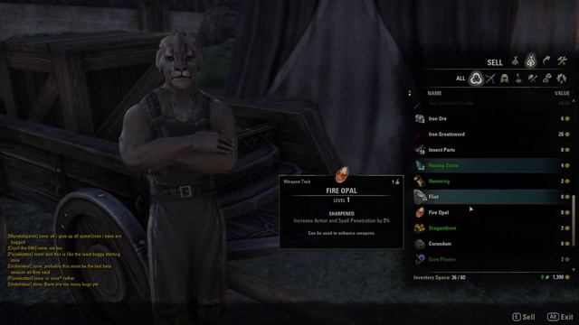 Let's Play The Elder Scrolls Online (Beta Gameplay) - Part 10: Debt Collector смотреть онлайн